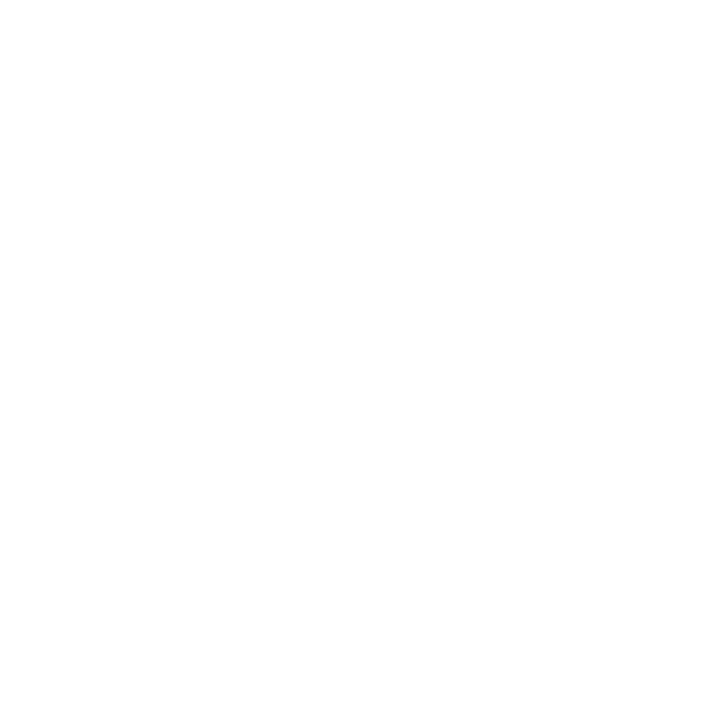 VINI STORE