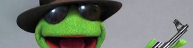 Nome da loja  Sapo comuna meme 