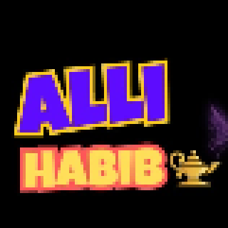 LOJA DO ALLI HABIB