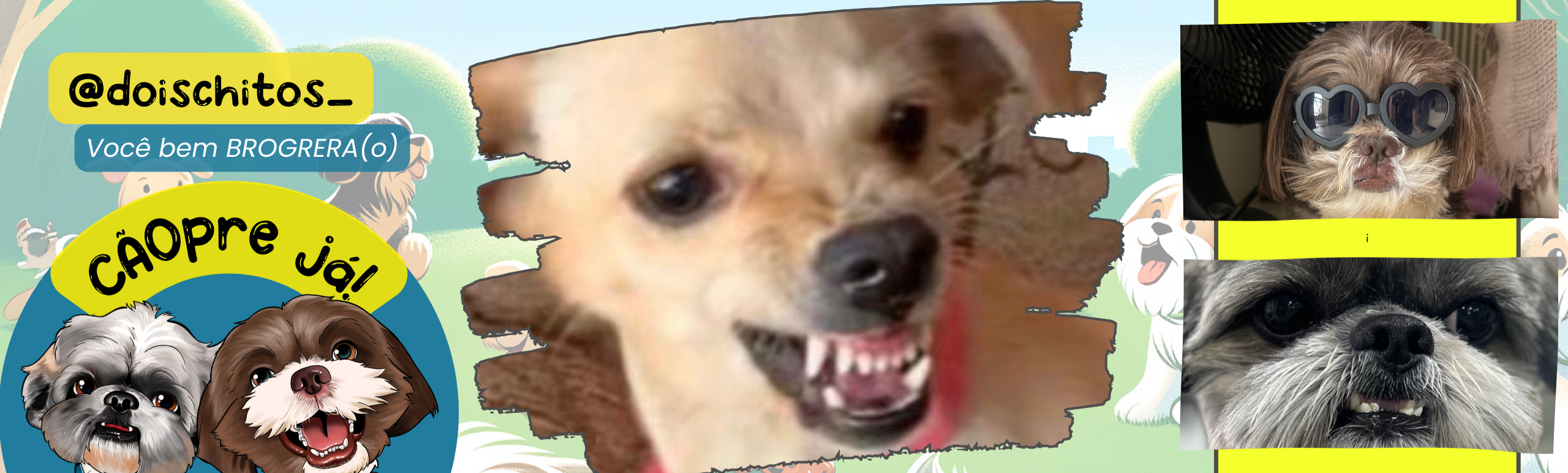 banner