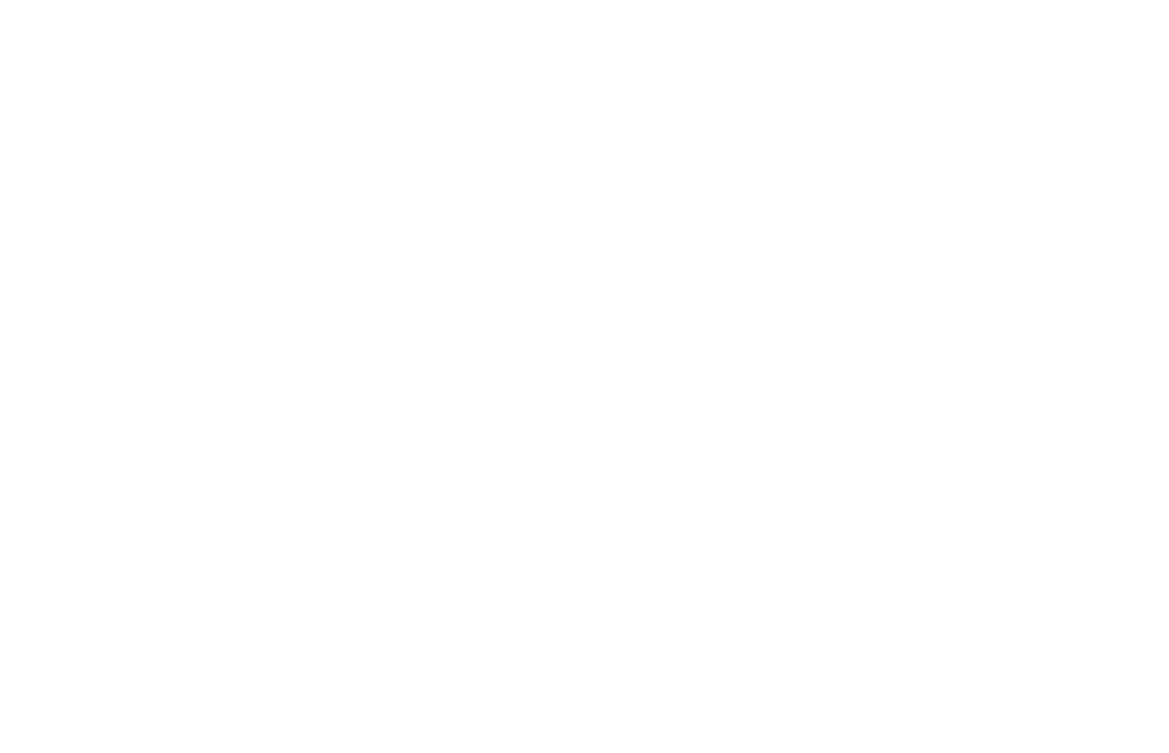 BIZU SPACE STORE
