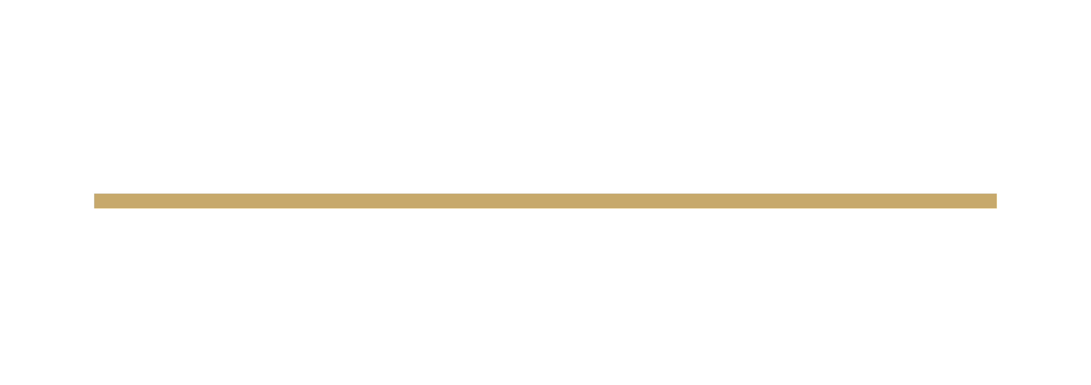 Carreira Store