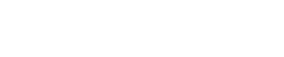 sk8nine