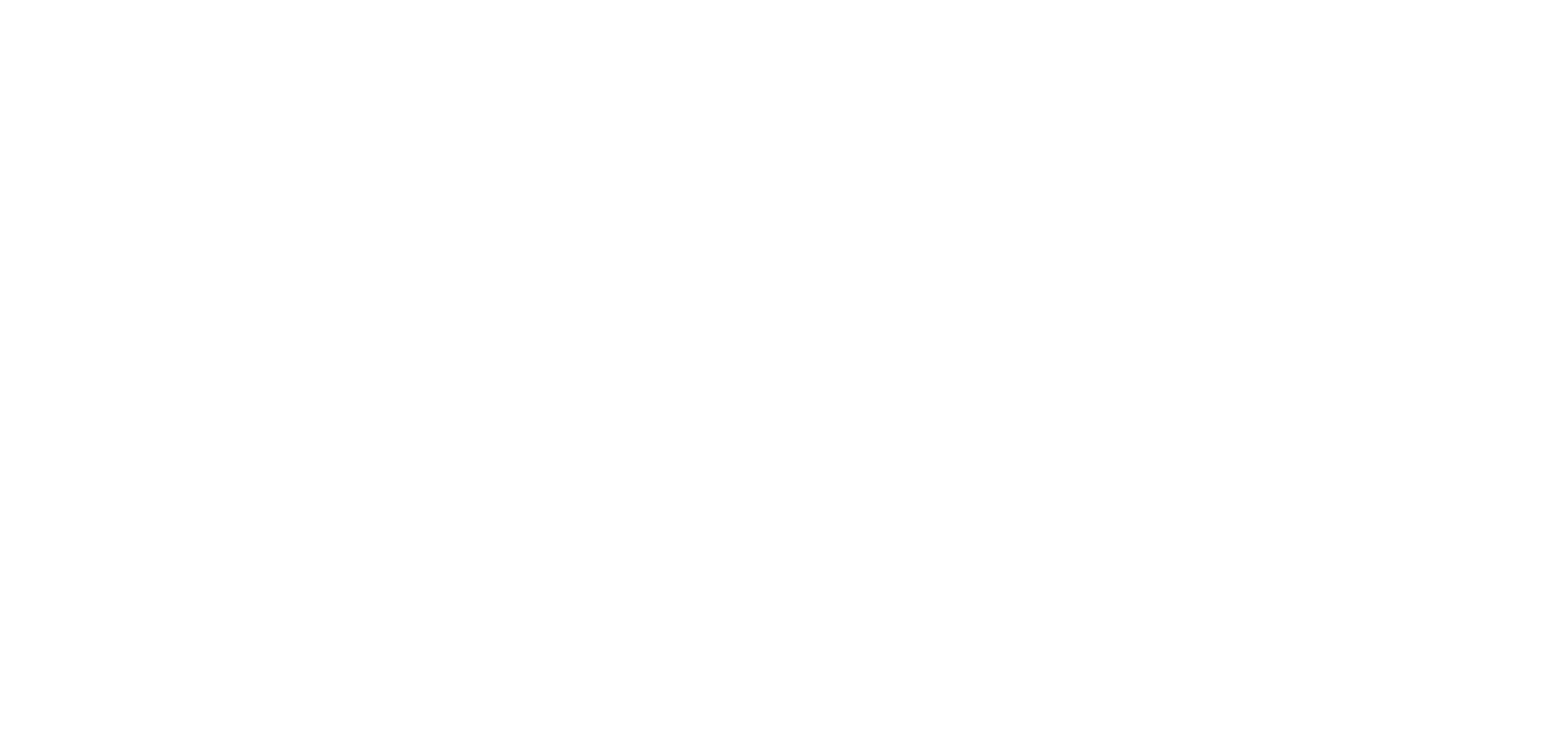 Netonii