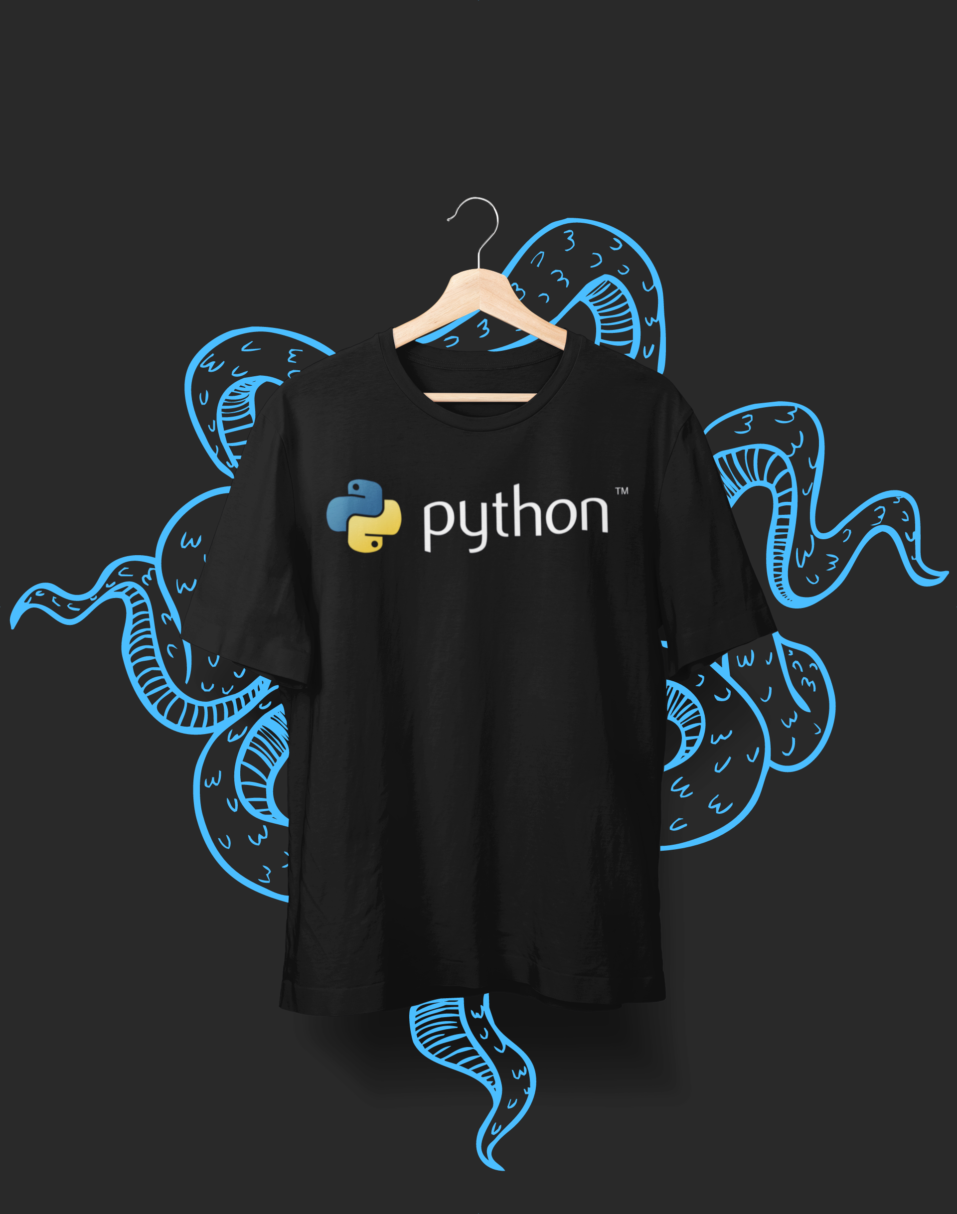 Camiseta Python 1