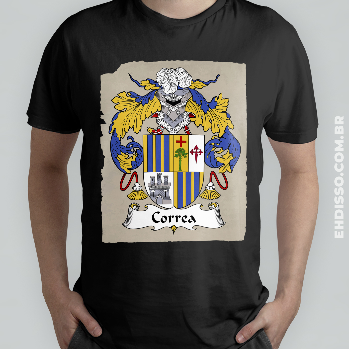 Brasão Família Correa Origem Sobrenomes Historia 