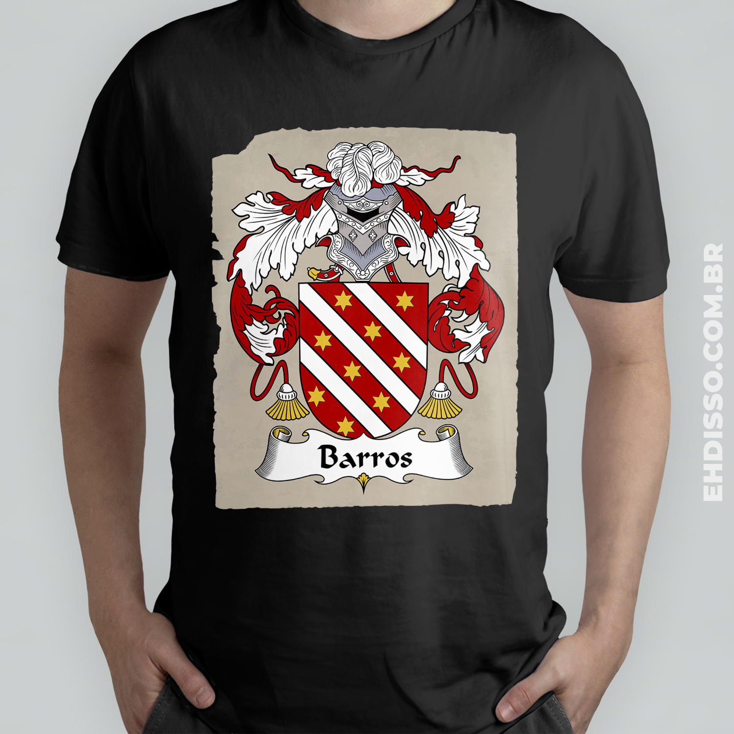 Brasão Família Barros Origem Historia | Camiseta Sobrenome