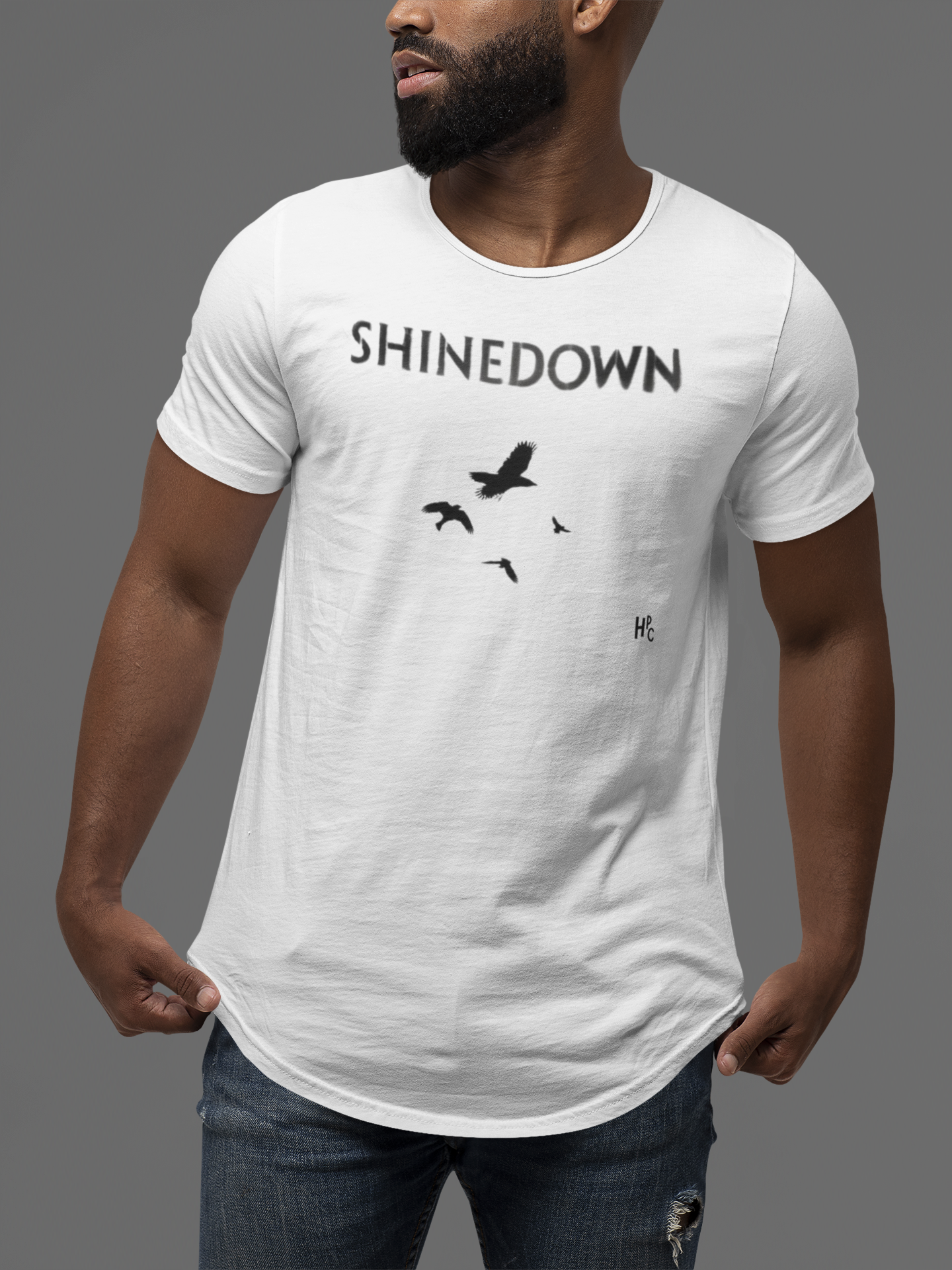 CAMISETA SHINEDOWN BIRDS