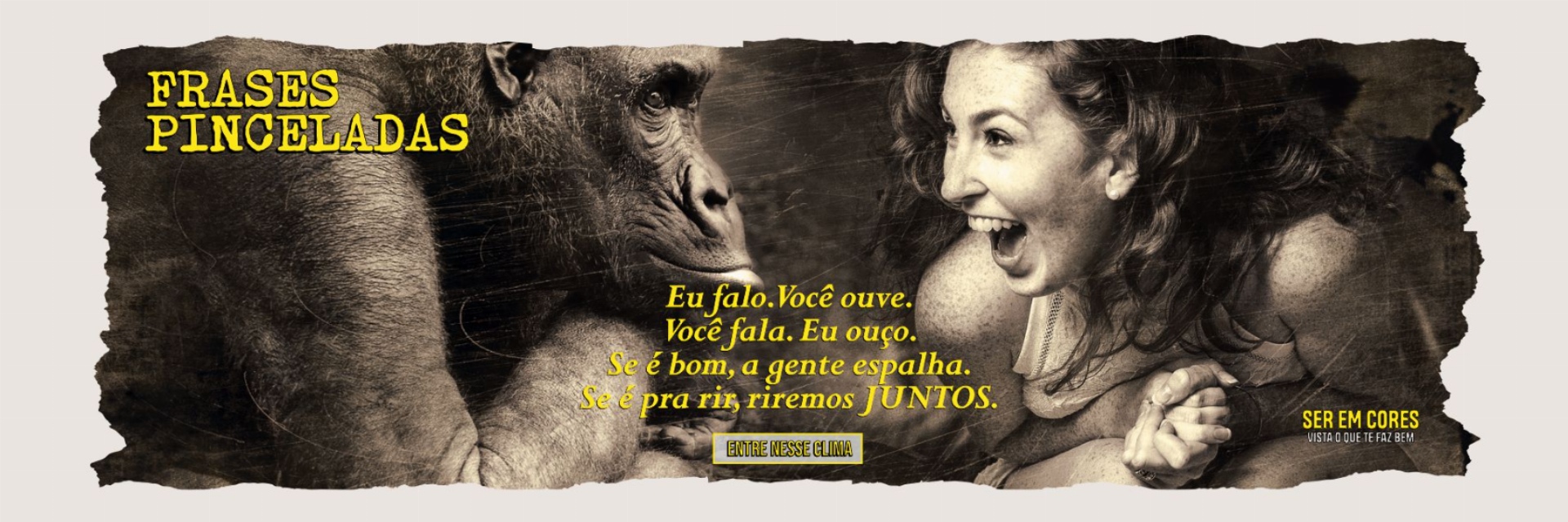 imagem do banner