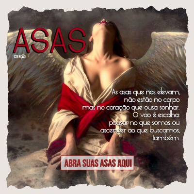 imagem do banner