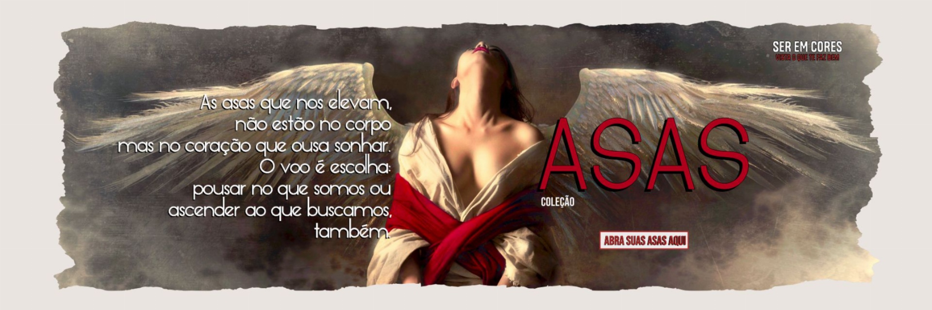 imagem do banner