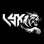 Logo da loja LYX STYLE