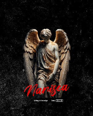 Logo da loja Narisca Clothing