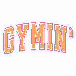 Logo da loja GymIn