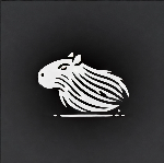 Logo da loja Capivarice