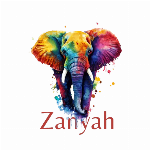Logo da loja Zanyha