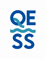 Logo da loja QESS
