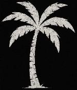 Logo da loja LE PALM