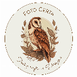 Logo da loja Foto Certa