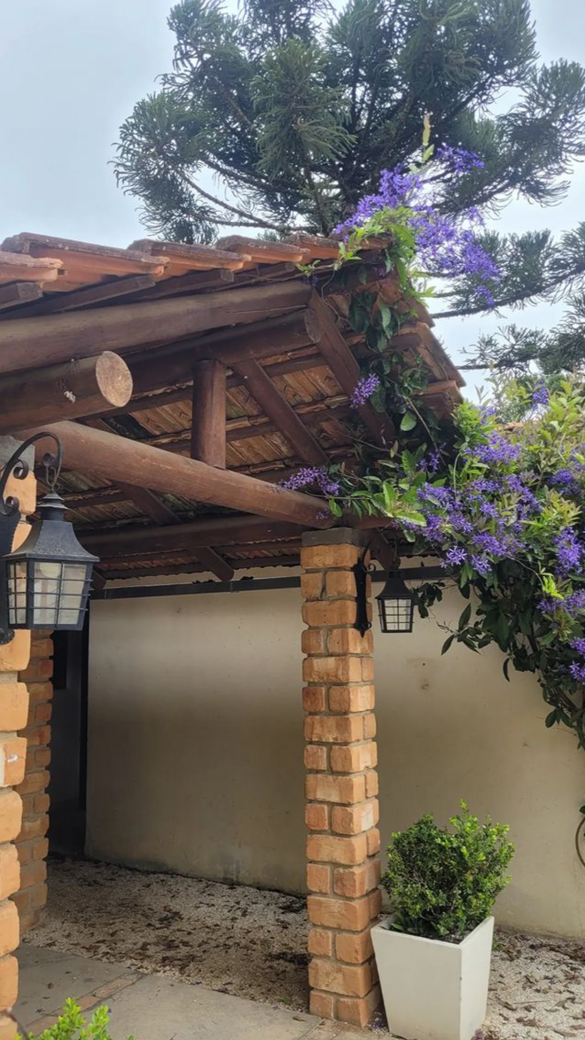 imagem do banner