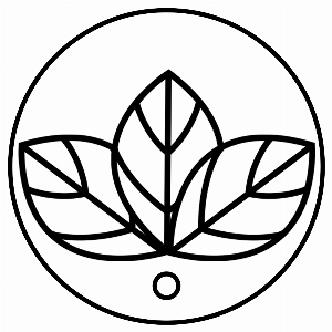 Logo da loja MG.X Store
