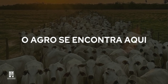 imagem do banner