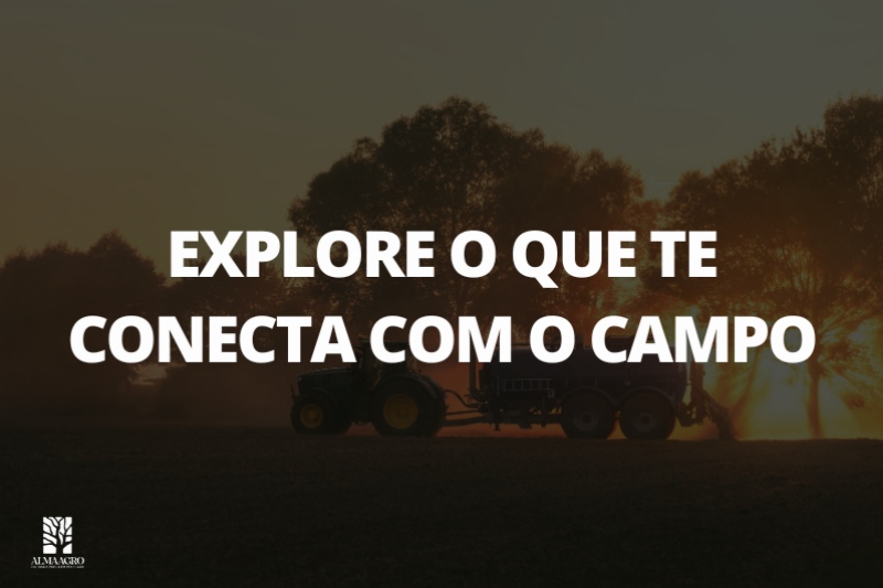imagem do banner