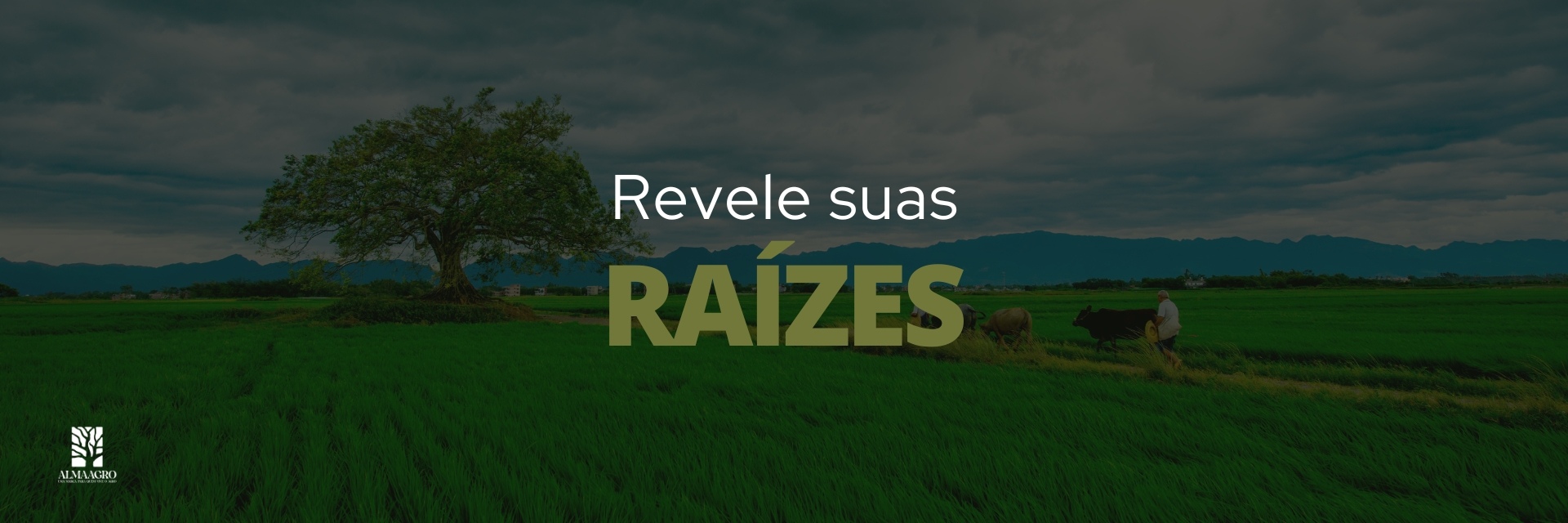 imagem do banner