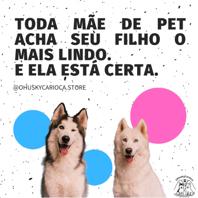 imagem do banner