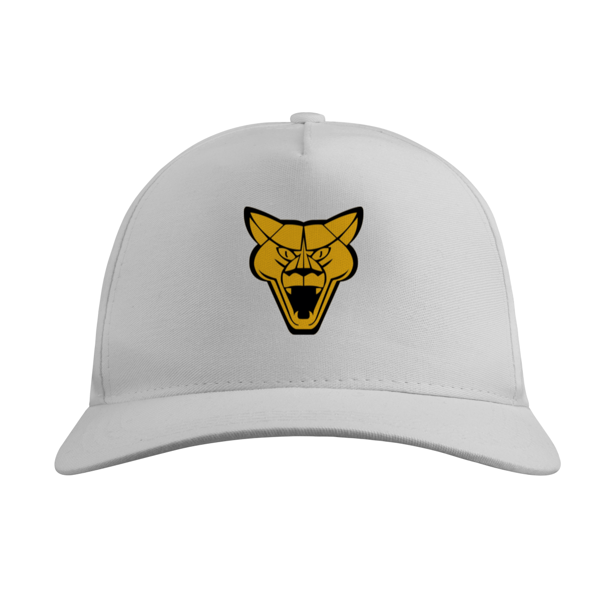 BONÉ QUALITY PUMA S/TELA