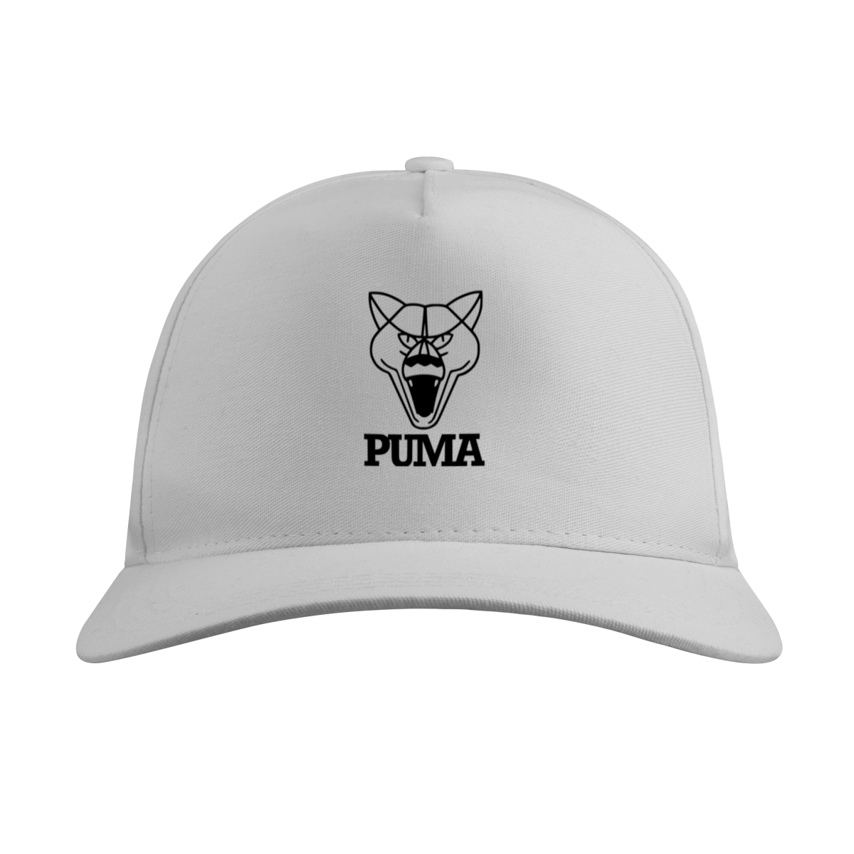 Boné Quality Puma s/ Tela