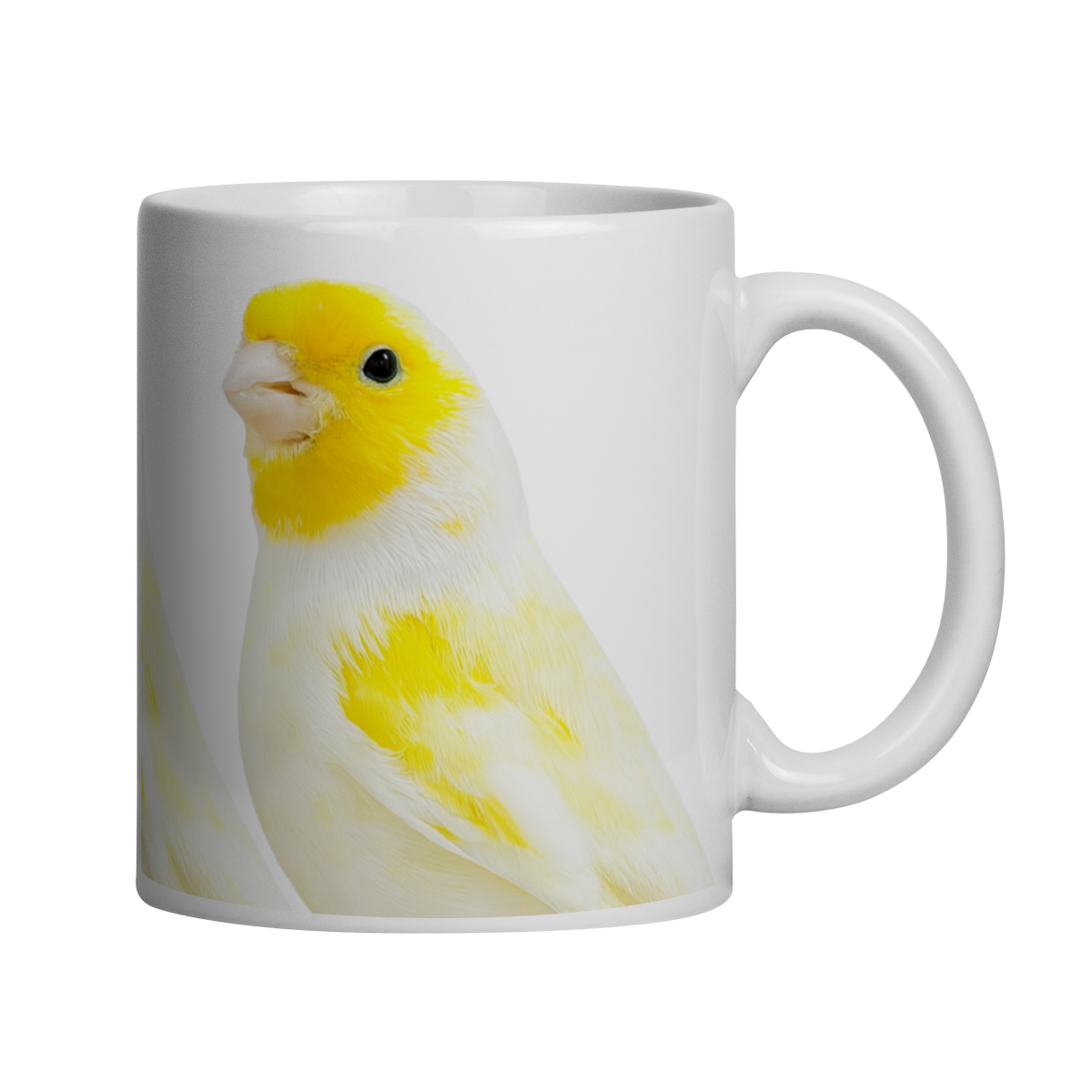 AMARELO MOSAICO MACHO