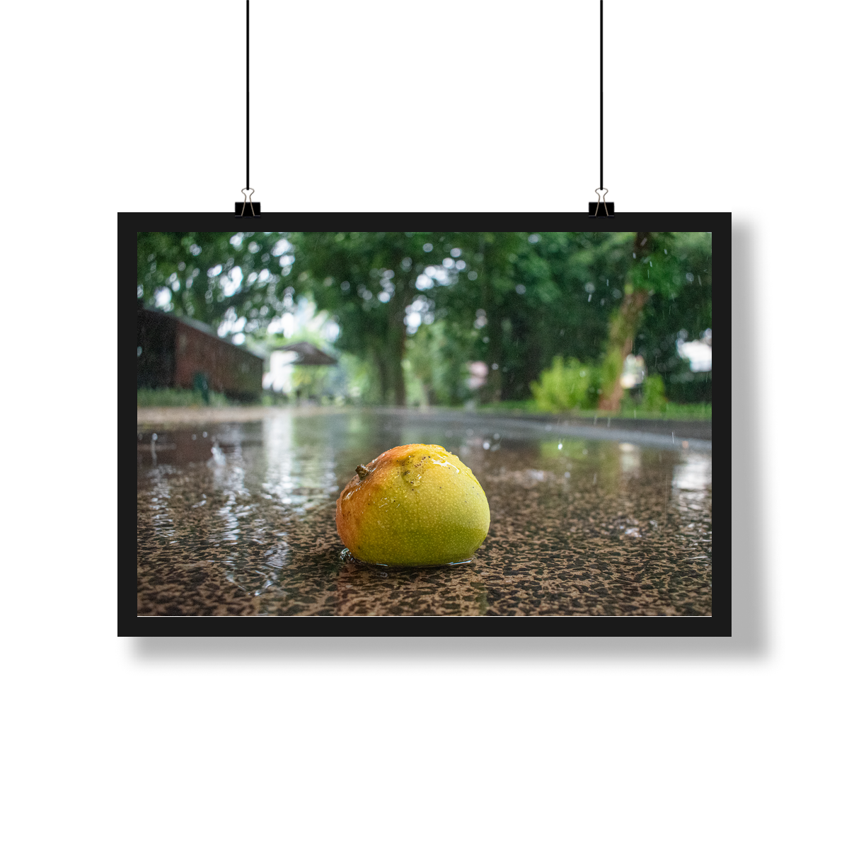 Poesia da Cidade das Mangueiras