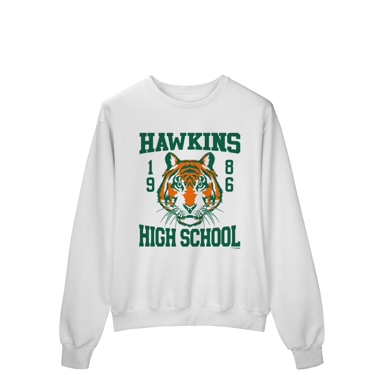 MOLETOM - HAWKINS HIGH SCHOOL | STRANGER THINGS